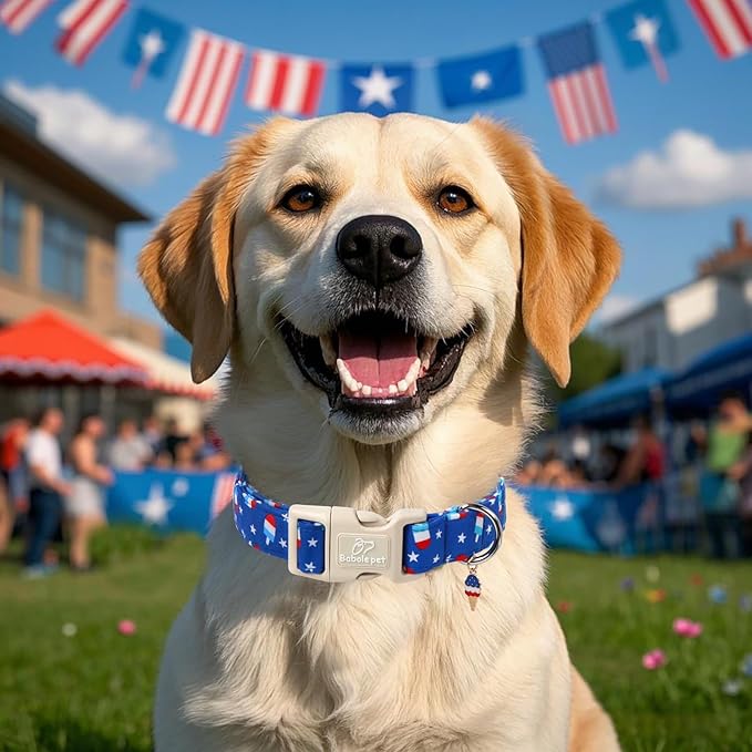 4th of July Dog Collar, Summer Popsicle Patriotic Dog Collars for Large Dogs, Adjustable Lightweight Quick-Release Buckle Collar for Boy&Girl Dogs L