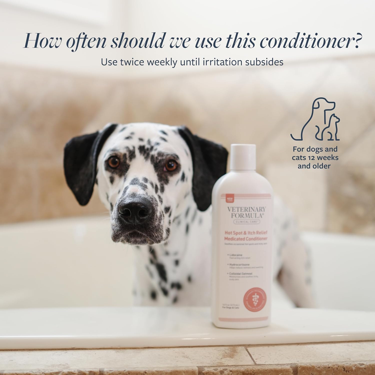 Veterinary Formula Clinical Care Hot Spot & Itch Relief Conditioner, 16 oz | Medicated oatmeal formula conditions the skin and helps alleviate itching in dogs and cats