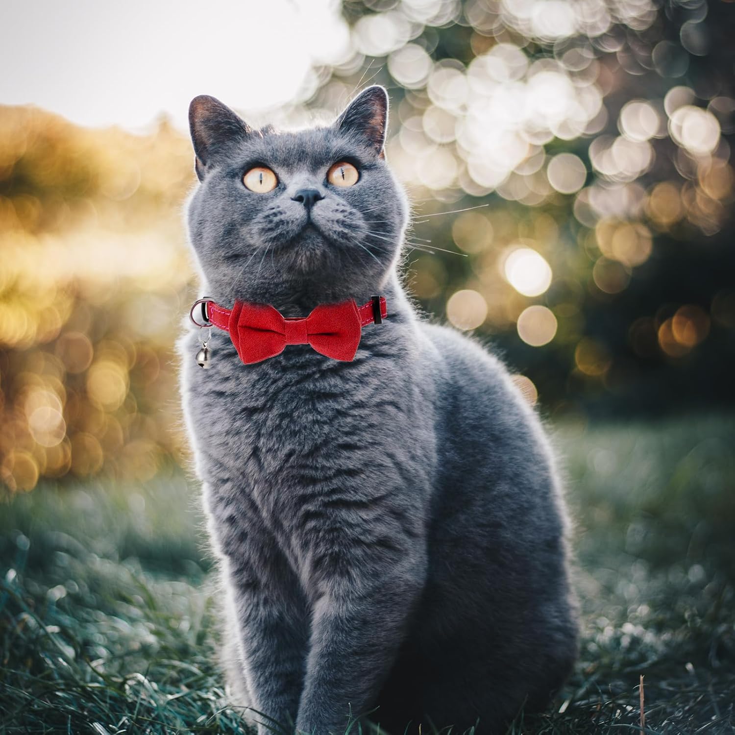 2 Pcs Red Cat Collar for Boy Girl Cats Breakaway Cat Collars with Bell Cute Christmas Kitten Bow Tie Collar Adjustable Small Puppy Safety Collar Solid Color Plaid Pet Collar