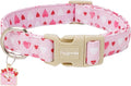Faygarsle Valentine's Day Dog Collar, Pink with Red and White Hearts Pattern, Adjustable with Quick-Release Buckle and Heart Charm S