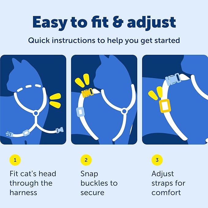 PetSafe Come With Me Kitty Cat Harness & Bungee Leash - Comfortable Cat Harness with Lightweight Bungee Leash for Outdoor Fun - More Secure Walks - Small - Royal Blue