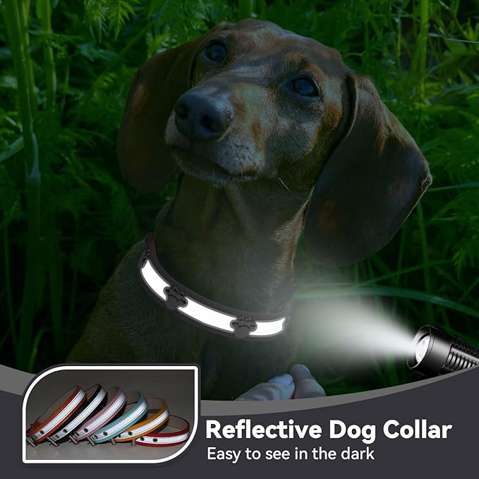 PETCARE Reflective Dog Collar with Cute Paw Rivet Studded Funny Soft PU Leather Adjustable Puppy Dog Collars for Small Medium Large Dogs Cats (Black,Small)