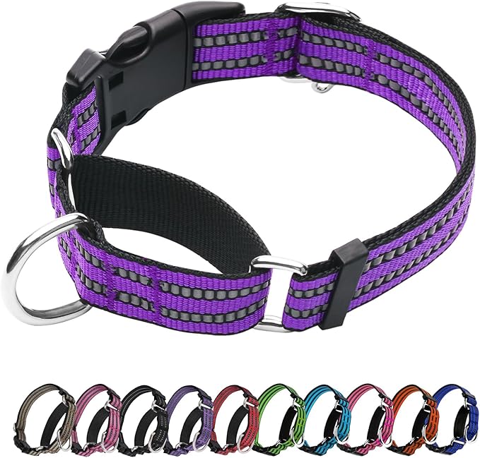 Martingale Dog Collar, Adjustable Nylon Reflective Collar with Quick Release Buckle (Real Purple, Small)