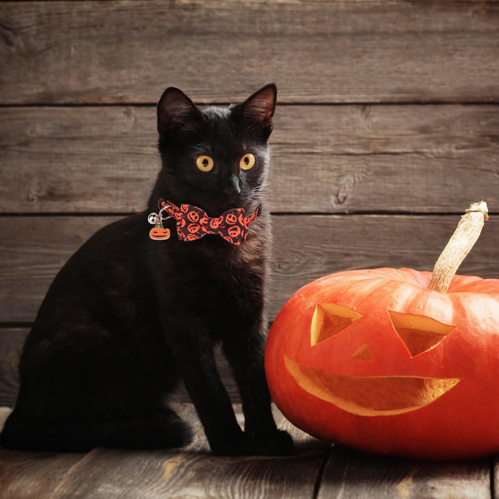 Halloween Cat Collar Breakaway, Pumpkin Ghost Cat Bowtie Collar | Detachable Bowtie Bell, Cute Charm, Adjustable Halloween Collar for Cat Kitten, For Halloween Parties and Photos