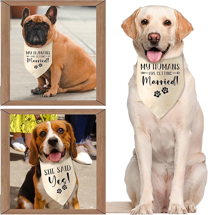 Engagement Gifts My Humans are Getting Married! SHE Said Yes! Pet Bandana Scarf Wedding Photo Prop Pet Accessories for Dog Lovers Owner Gift Engagement Party Bridal Shower Decorations