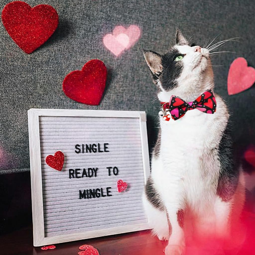 Valentine's Day Cat Collar with Bow Tie Bell & Charms BreakawayBack Heart and Pink Flowers for Male and Female Cats, Adjustable Holiday Kitten Collar for Boys & Girls
