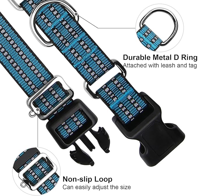 Martingale Dog Collar, Adjustable Nylon Reflective Collar with Quick Release Buckle (Gentian Blue, Large)