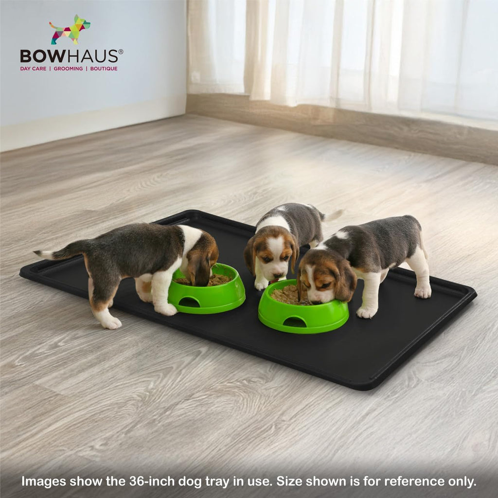 BOWHAUS 46.8-Inch Dog Crate Pan Replacement, Sturdy, Waterproof Plastic Tray for 48-Inch Pet, Rabbit Ferret Critter Kennels, Versatile Pan and Easy to Clean