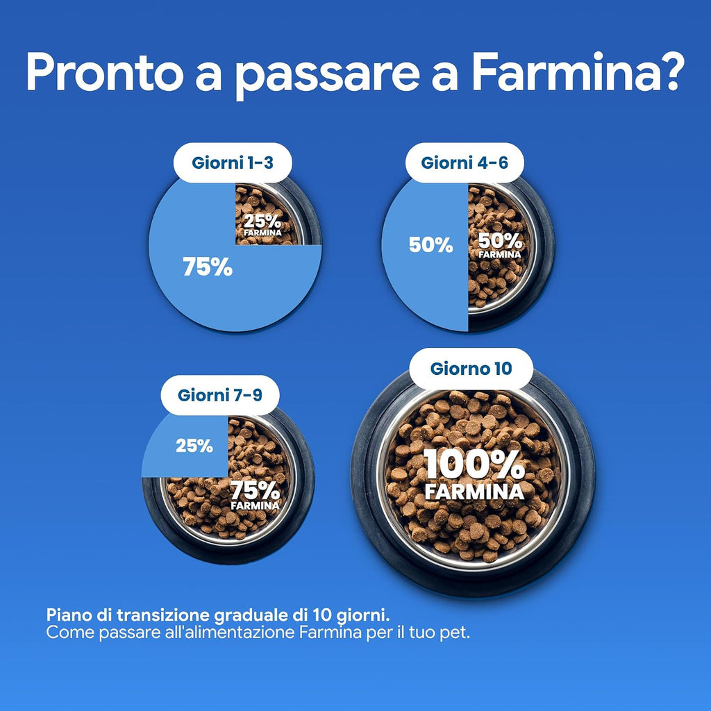 Mini Breed Adult Grain Free Pumpkin Chicken & Pomegranate Dry Dog Food by Farmina