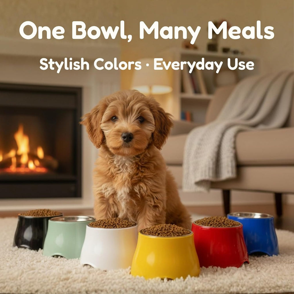 2 Pack Elevated Spaniel Dog Bowl, Melamine Raised Dog Food Bowl for Long-Eared Dogs, Raised Dog Bowls for Small & Medium Dogs, Stainless Steel Inner Bowl, Non-Slip Base (Black*2, 420 mL/1.5 Cups)