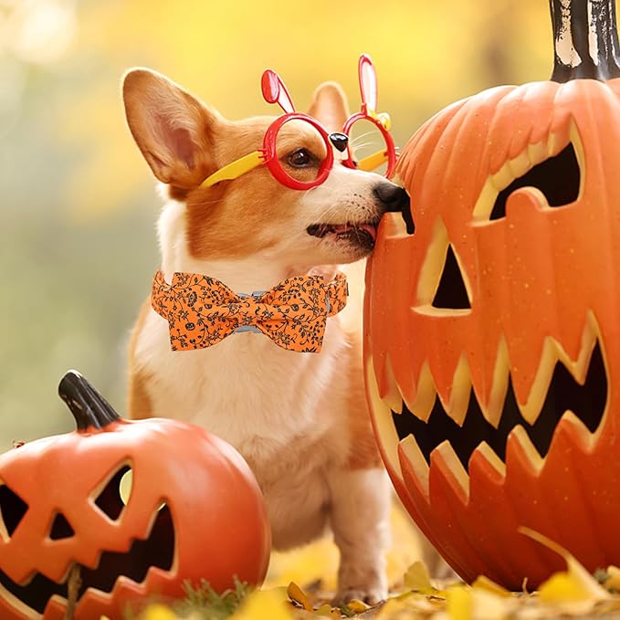 Halloween Dog Collar, Pet Collar Dog Bow Pumpkin Dog Collar Girl Boy Holiday Pet Dogs Collar Gift Bow Dog Collars Cute Soft Puppy Collar for Large Dogs