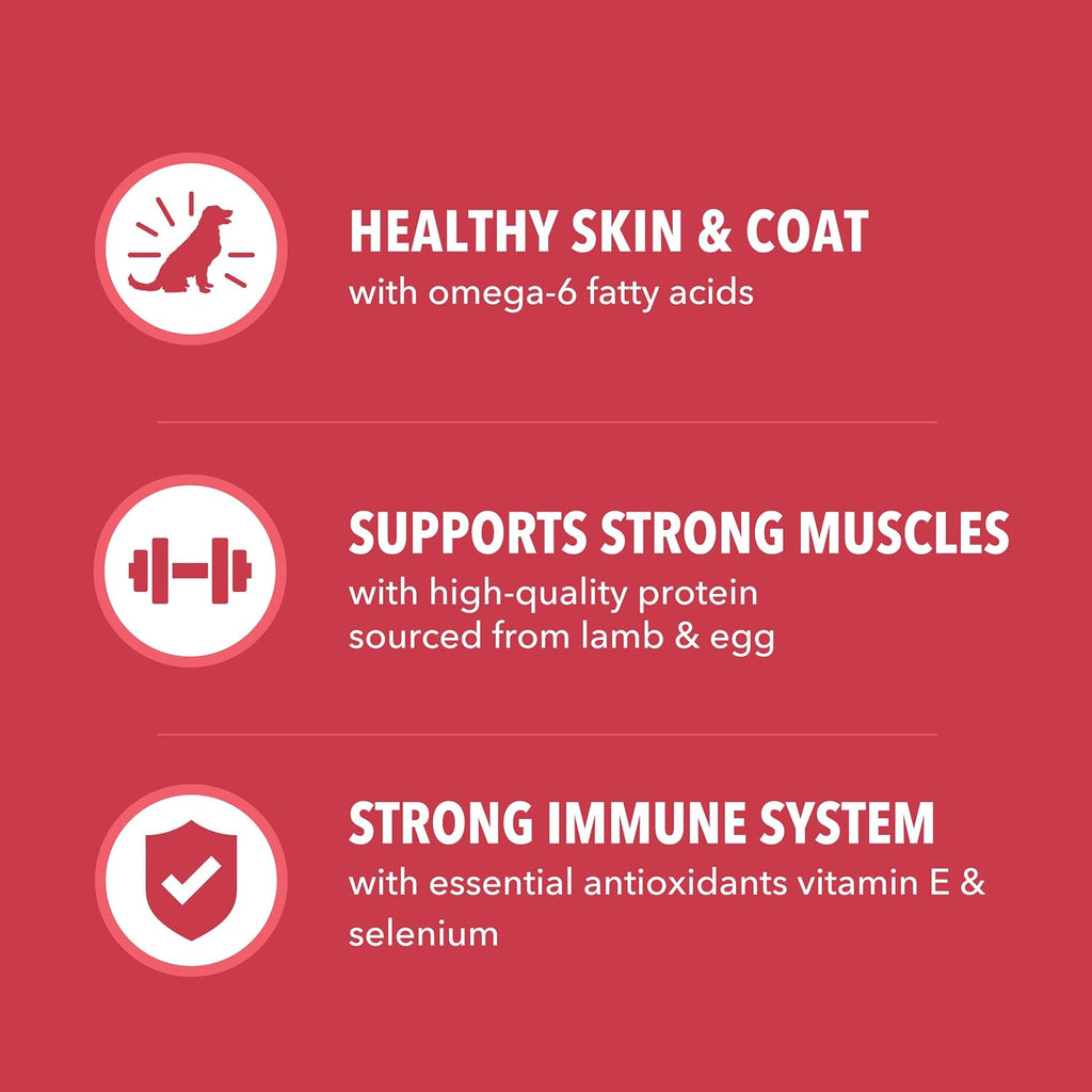 IAMS Proactive Health Minichunks Dry Dog Food, Lamb & Rice, 30 lb | Real Lamb #1 Ingredient, Omega-6 Fatty Acids for Skin & Coat, Natural Fiber & Prebiotics, No Fillers or Artificial Flavors