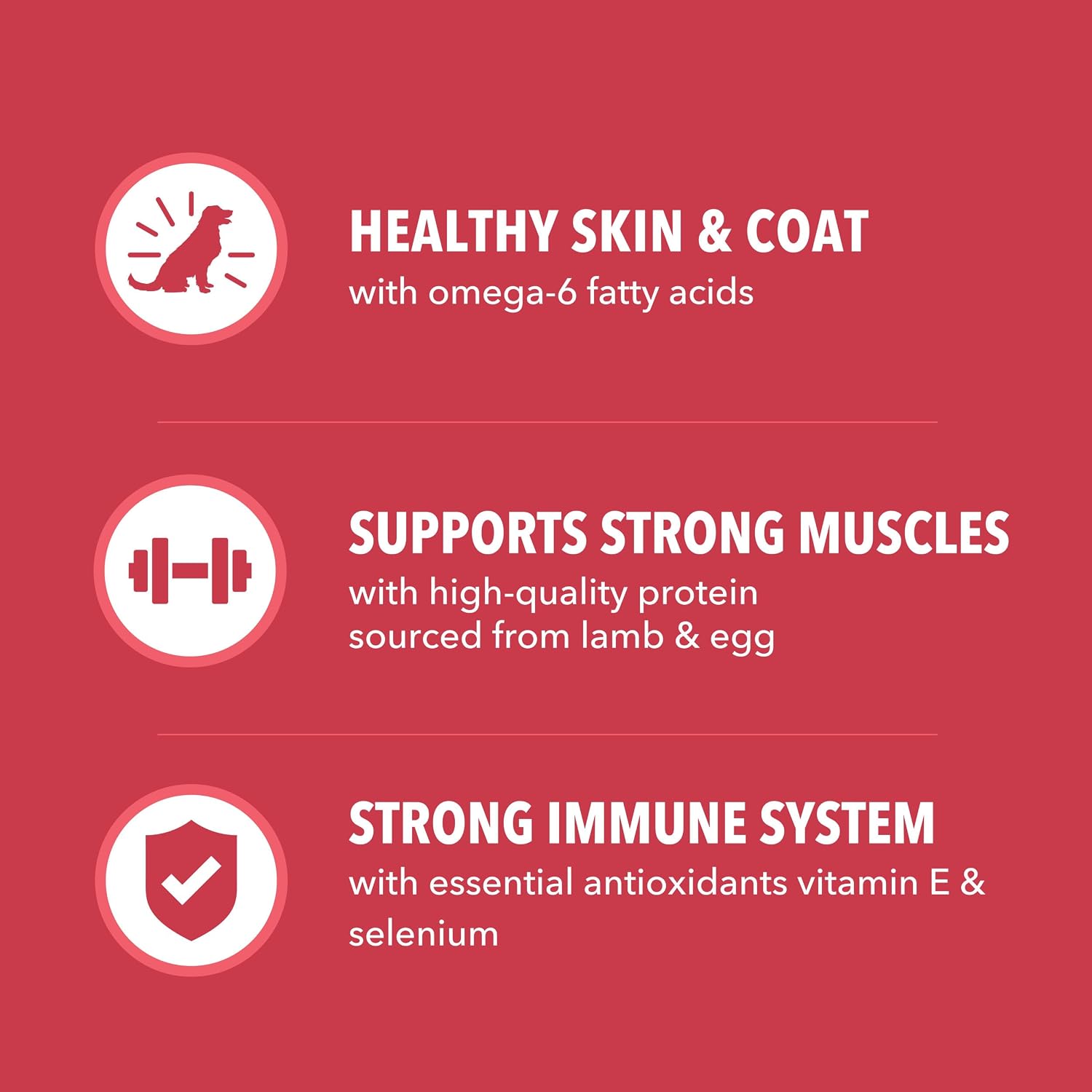 IAMS Proactive Health Minichunks Dry Dog Food, Lamb & Rice, 30 lb | Real Lamb #1 Ingredient, Omega-6 Fatty Acids for Skin & Coat, Natural Fiber & Prebiotics, No Fillers or Artificial Flavors