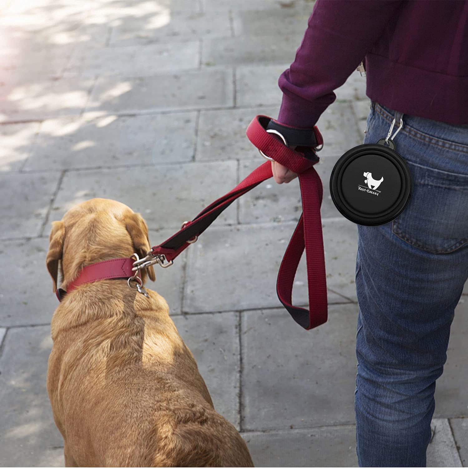 Collapsible Dog Bowls for Travel, 2-Pack Dog Portable Water Bowl for Dogs Cats Pet Foldable Feeding Watering Dish for Traveling Camping with Carabiners, BPA Free (Grey&Black, Small (Pack of 2))