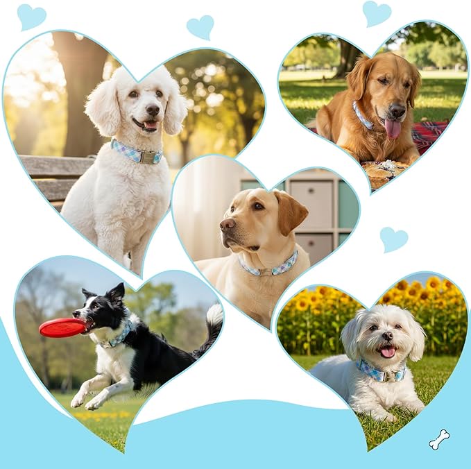 Cotton Collar for Dog，Soft Adjustable Dog Collars for Medium Dogs, Cute Dog Collar with Blue & White Plaid for Small Medium Large Dogs, Perfect for Girl or Boy Dog Collars-M