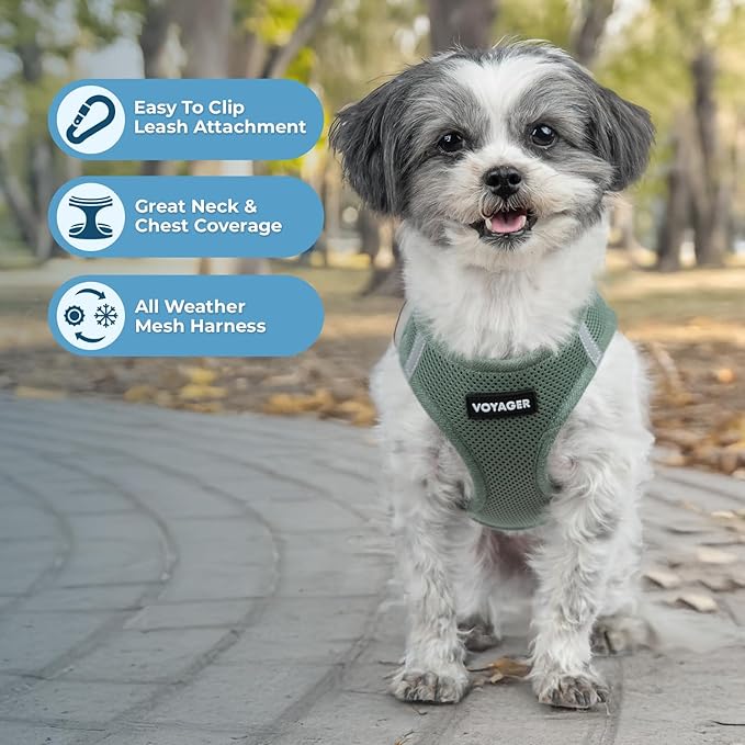 Best Pet Supplies Voyager Step-in Air Harness - All Weather Mesh, Reflective, No Pull Harness for Dogs, Cats - Secure with Hook & Loop Fastener, Buckle, Double D-Rings - Moss Green, S