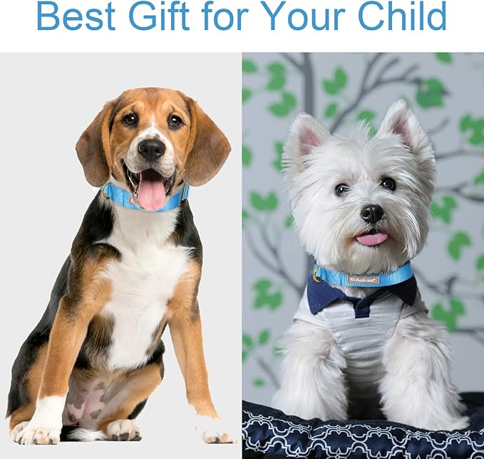 Nylon Dog Collar - Adjustable Blue Soft Webbing Dog Collars for Small Medium Large Dogs Boy Girl Puppy Collar with Safety Metal Buckle L