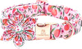 Lionheart Glory Pink Peach Dog Collar with Soft Durable Adjustable Bows