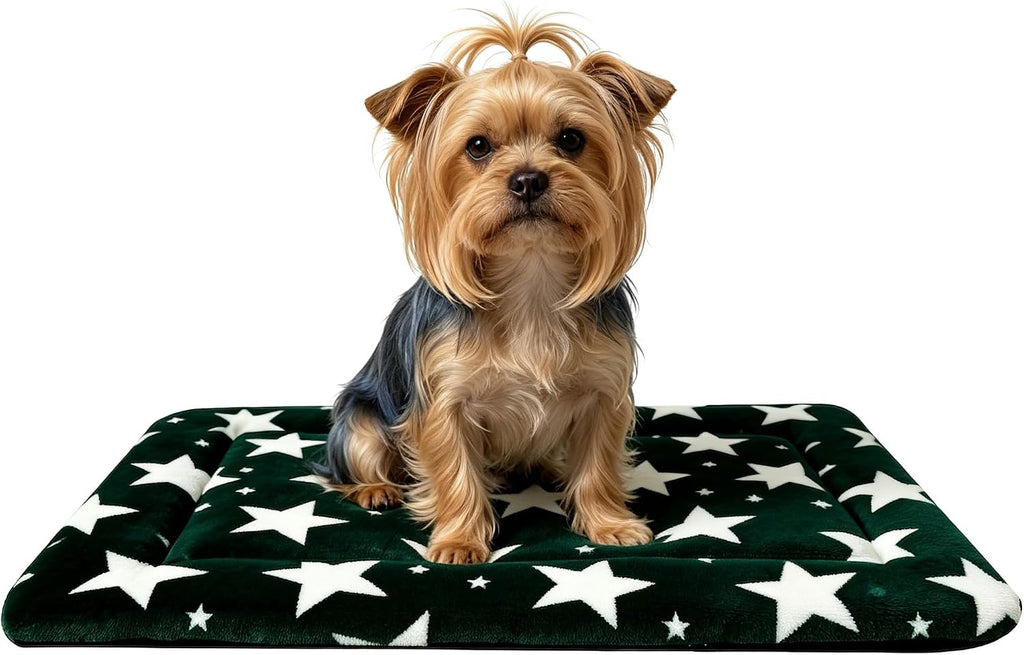 Dog Bed Mat,Reversible & Ultra Soft Kennel Pad-Machine Washable Pet Bed for Dogs & Cats-All-Weather Crate Liner for Crates,Carriers & Travel (Big Star&Green, 24.0" L x 18.0" W x 1.5" Th)