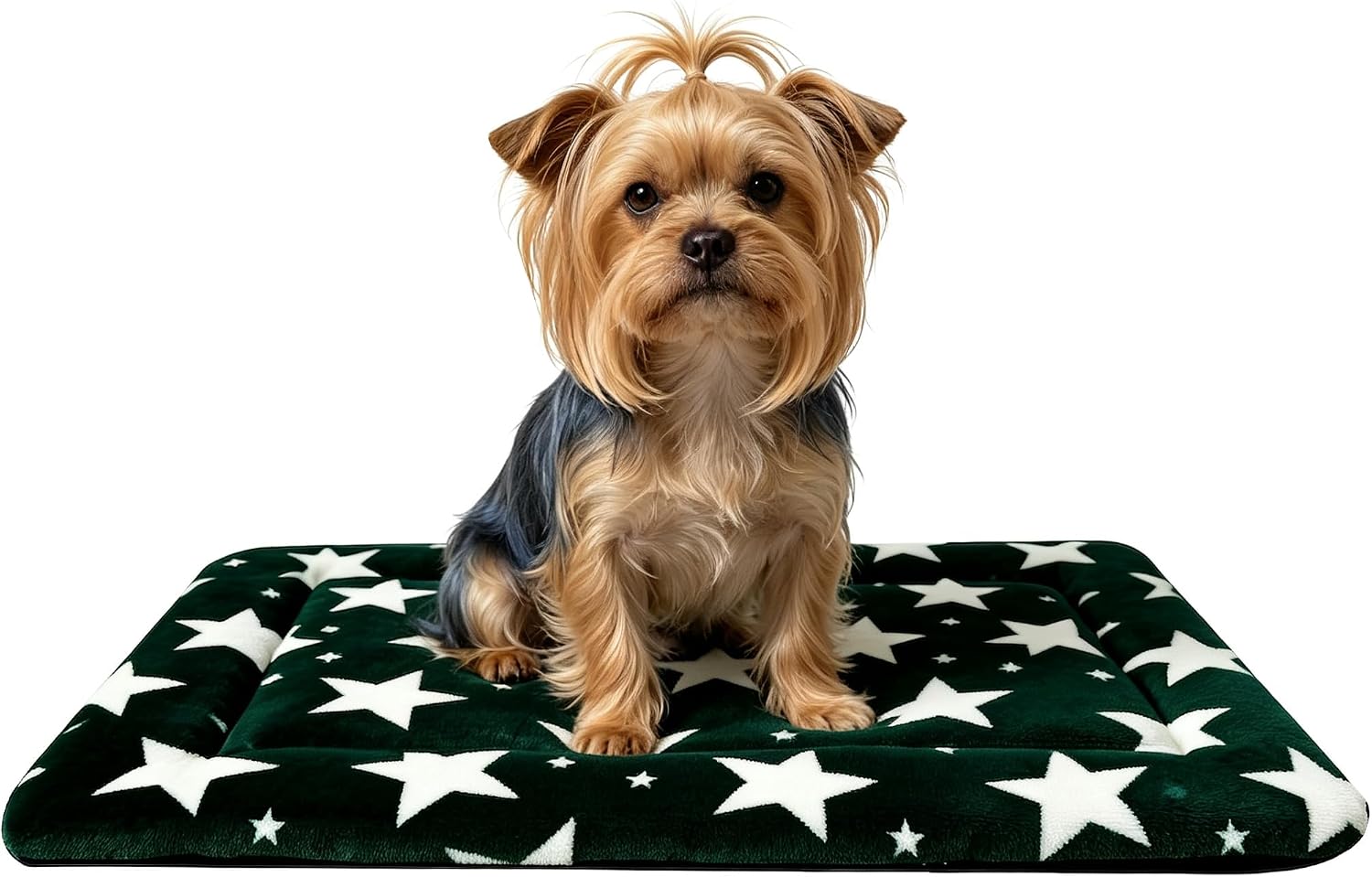 Dog Bed Mat,Reversible & Ultra Soft Kennel Pad-Machine Washable Pet Bed for Dogs & Cats-All-Weather Crate Liner for Crates,Carriers & Travel (Big Star&Green, 24.0" L x 18.0" W x 1.5" Th)