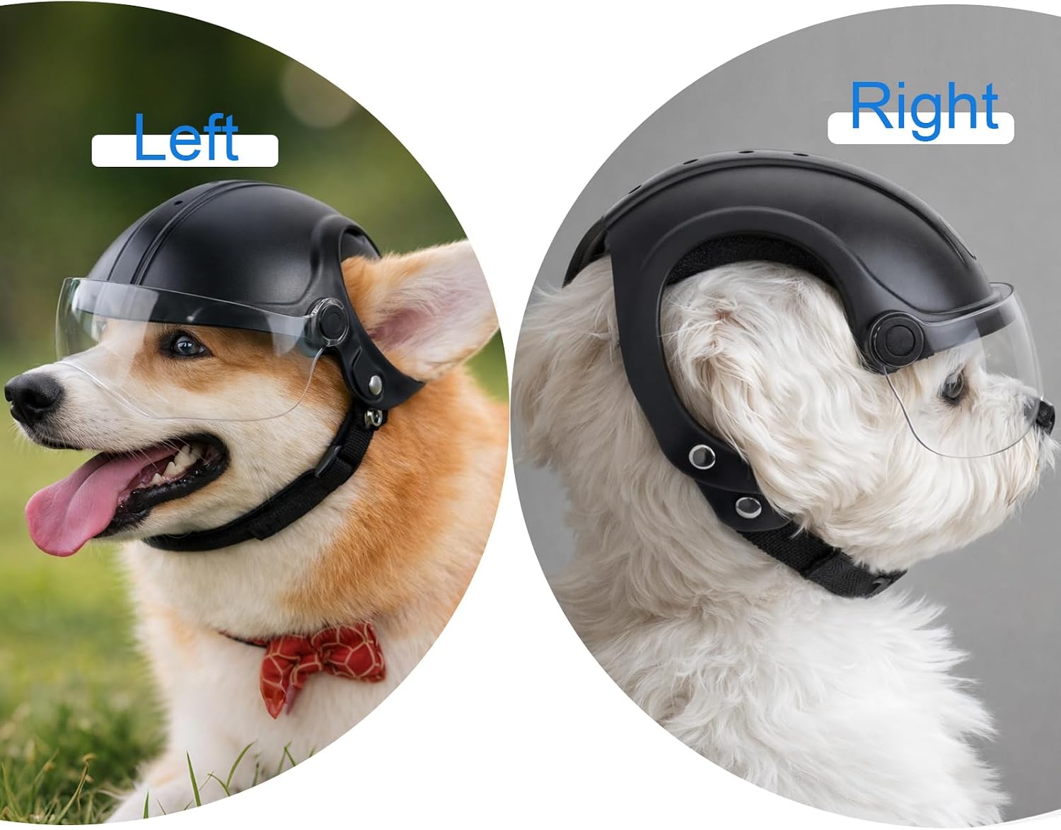Petmolico Dog Helmet with Goggles Anti-UV Adjustable for Small Dogs Outdoor | Durable ABS shell with soft inner padding, ear holes for comfort, clear drop-down visor, ideal for biking, hiking & travel