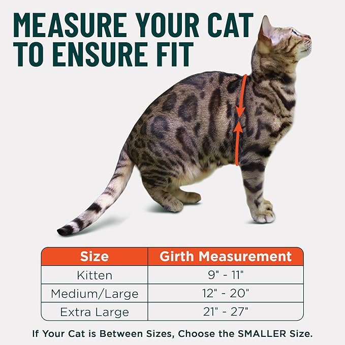 Houdini™ Escape Proof Kitten Harness and Leash Set by OutdoorBengal – Extra Small – Comfy, Adjustable and Lightweight - Houdini Cat Harness Escape Proof for Small Cats + Cat Leash 6ft (Multicolor, XS)