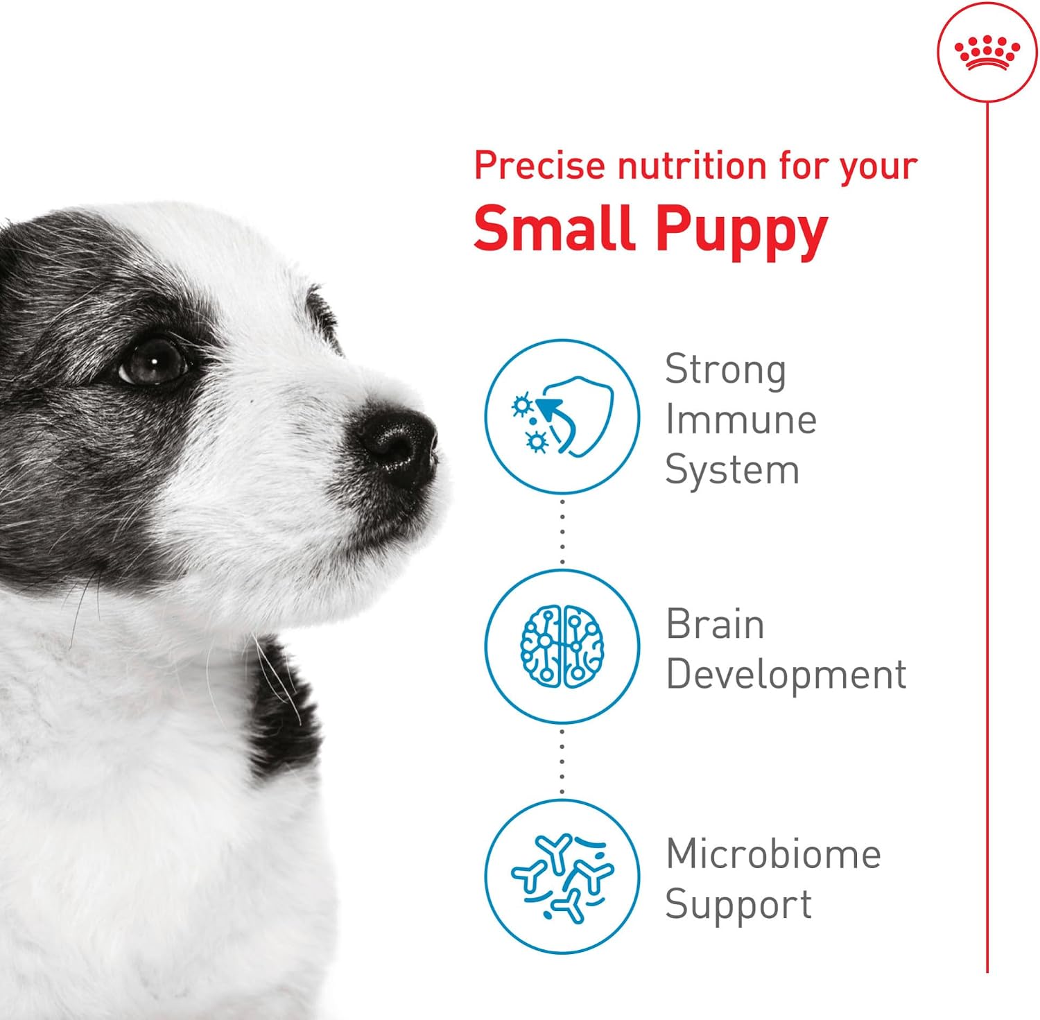 ROYAL CANIN Size Health Nutrition Small Puppy Dry Dog Food, 14 lb Bag | Supports Growth and Development, Specially Sized Kibble, Tailored Nutrition for Small Breeds, 14 lb Bag