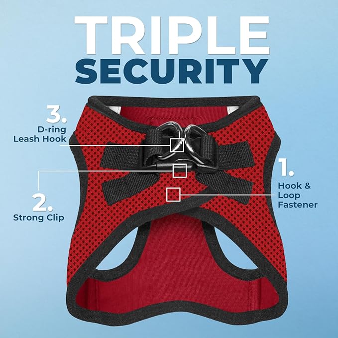 Best Pet Supplies Voyager Step-in Air All Weather Mesh Harness and Reflective Dog 5 ft Leash Combo with Neoprene Handle, for Small, Medium and Large Breed Puppies - Red/Black Trim, XX-Small