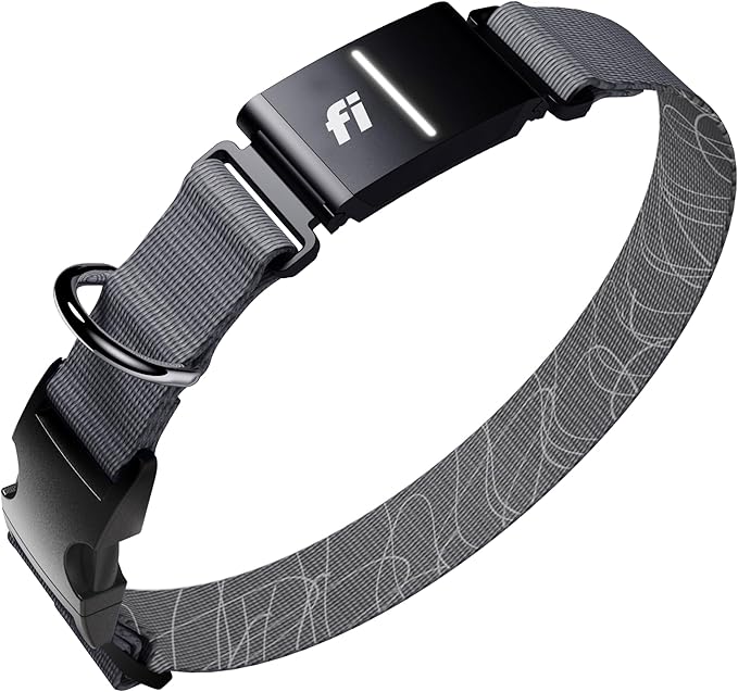 New Fi Series 3+ Smart Dog Tracker Collar [6 Month Membership Included] GPS Tracker for Dogs with Health & Behavior Monitoring, Escape Alerts, Waterproof, LED, Apple Watch Compatible (Gray, X-Small)