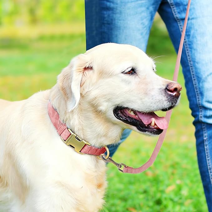 Genuine Leather Dog Collar - Adjustable Pet Collar with Quick Release Metal Buckle, Soft Skin Friendly Real Leather Collar for Small, Medium, Large Dogs (Pink Collar + Rope, S：Fit 8-16" Neck)