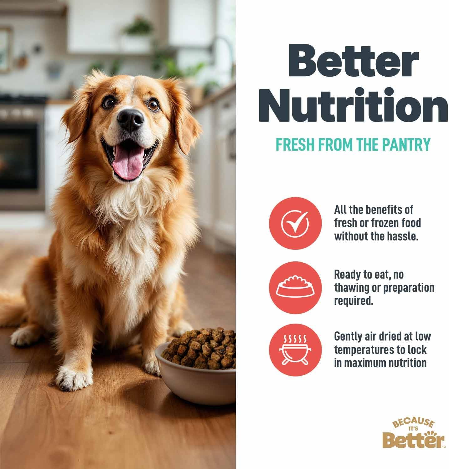 Because it's Better, Dog Food Semi Moist Prime Beef, 16 Ounce | Slow-baked and air-dried with real meat and veggies - a complete, balanced meal for all life stages