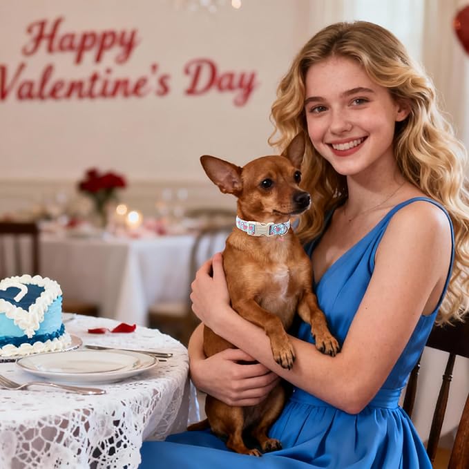 DOGWONG Blue Heart Dog Collar, Cute Valentine Puppy Collar, Valentine's Day Dog Collar with Strong Plastic Buckle for Small Medium Large Dogs,XS