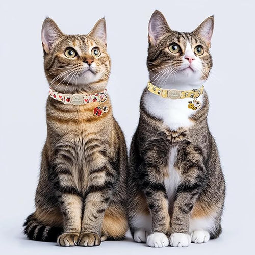 2 Pack Cute Cat Collars - Cartoon Bee Ladybug Breakaway Cat Collar with Bell & Matching Pendant, Adjustable Spring Summer Kitten Collars for Boy Girl Cats