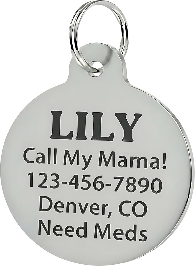 Bad Tags Personalized Dog and Cat ID Tags in 25+ Designs and 2 Sizes - 5 Lines of Custom Engraved Text - Funny Cute Personalized Pet Tags (I Bark At Karens, Small (1 inch))
