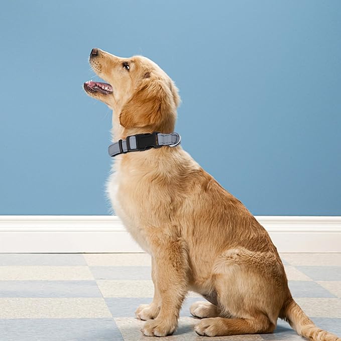 Reflective Dog Collar, Adjustable Soft Neoprene Padded Nylon Pet Collars with Buckle for Puppy and Small Dogs, Cats, Gray,XS