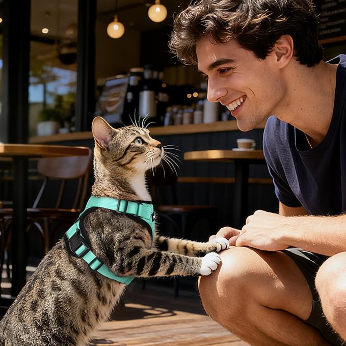 Dooradar Cat Harness and Leash Set, Escape Proof Safe Adjustable Kitten Vest Harnesses for Walking, Easy Control Soft Breathable Mesh Jacket with Reflective Strips for Cats, Green, XS