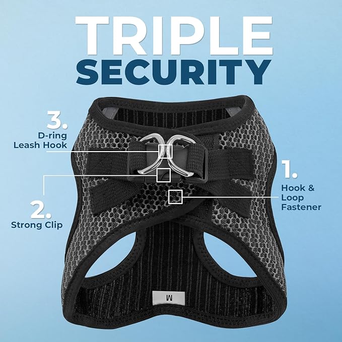 Best Pet Supplies Voyager Step-in Air All Weather Mesh Harness and Reflective Dog 5 ft Leash Combo with Neoprene Handle, for Small, Medium and Large Breed Puppies - Gray (2-Tone), L