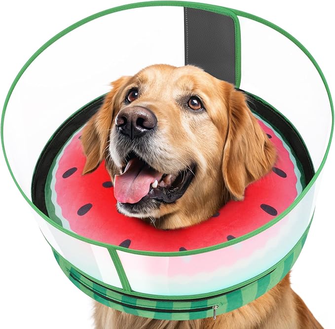 Inflatable Dog Cone with Anti-Licking Clear Shield, Protective Dog Donut Collar After Surgery, Adjustable Soft Recovery Cone for Pets, Alternative Collar with Buckle Strap (Watermelon, M+)