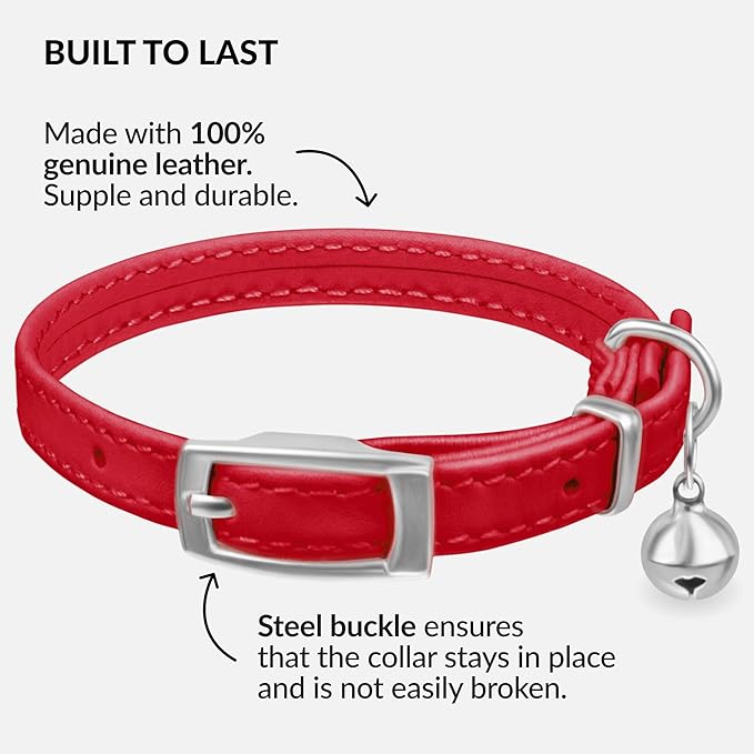CollarDirect Leather Cat Collar with Bell - Kitten Collar, Small and Big Cat for Boy Cats, Girl Cats with Safety Elastic Strap (Neck Fit 8"-11", Red)