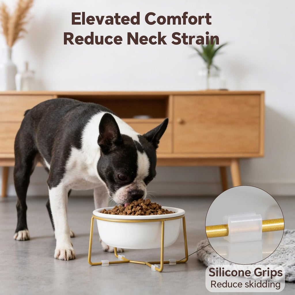 Elevated Ceramic Dog Bowl with Metal Stand - Raised Feeding Dish for Small and Medium Dogs - Ideal for Food or Water - Each Holds 600ml / 3.2 Cups (Approx. 320g) - White