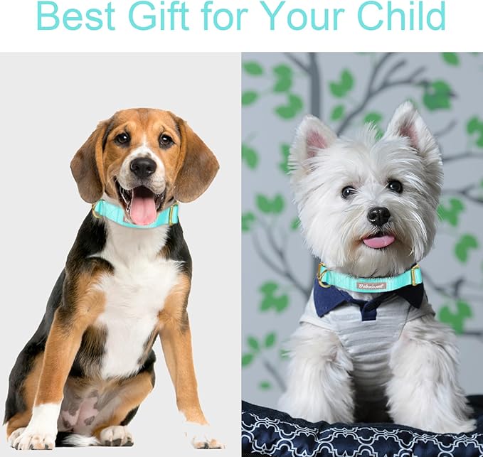 Nylon Dog Collar - Adjustable Lake Blue Soft Webbing Dog Collars for Small Medium Large Dogs Boy Girl Puppy Collar with Safety Metal Buckle L
