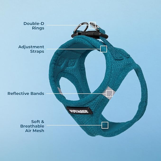 Best Pet Supplies Voyager Step-in Air Harness - All Weather Mesh, Reflective, No Pull Harness for Dogs, Cats - Secure with Hook & Loop Fastener, Buckle, Double D-Rings - Turquoise, XS