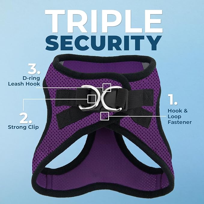 Best Pet Supplies Voyager Step-in Air All Weather Mesh Harness and Reflective Dog 5 ft Leash Combo with Neoprene Handle, for Small, Medium and Large Breed Puppies - Purple/Black Trim, Medium