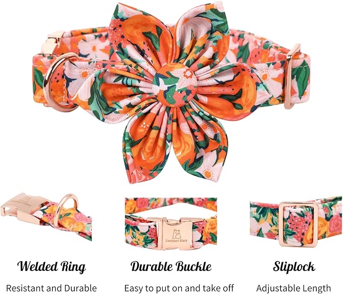 Lionheart Glory Dog Collar With Flower - Cute Floral Pattern Adjustable Pet Collar for X-Small Dogs