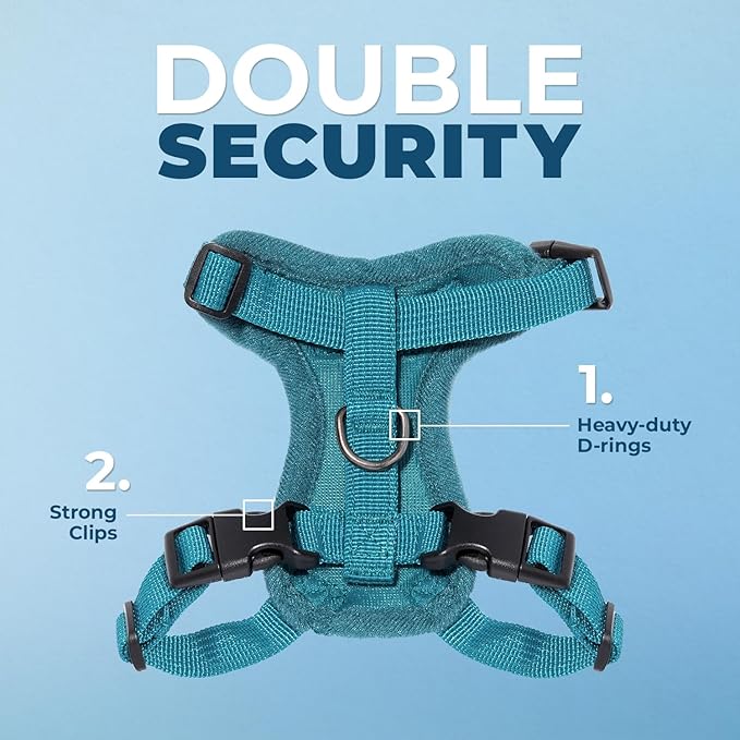 Voyager Escape-Proof Step-in Lock Cat Harness & 5ft Neoprene-Handle Leash Set All-Weather Mesh with Reflective Stitching for Small to Large Cats by Best Pet Supplies, Turquoise, XXS
