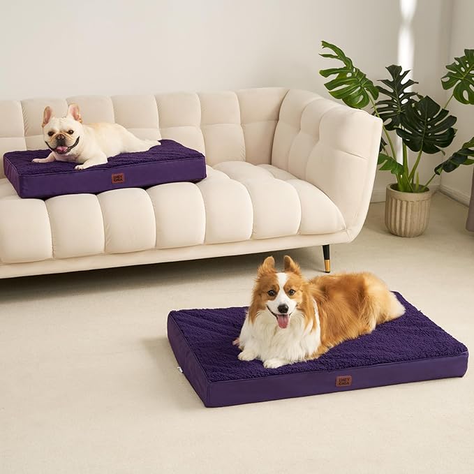 EHEYCIGA Orthopedic Medium Dog Beds for Small Dogs with Removable Washable Cover for Crate, Purple, 30x20