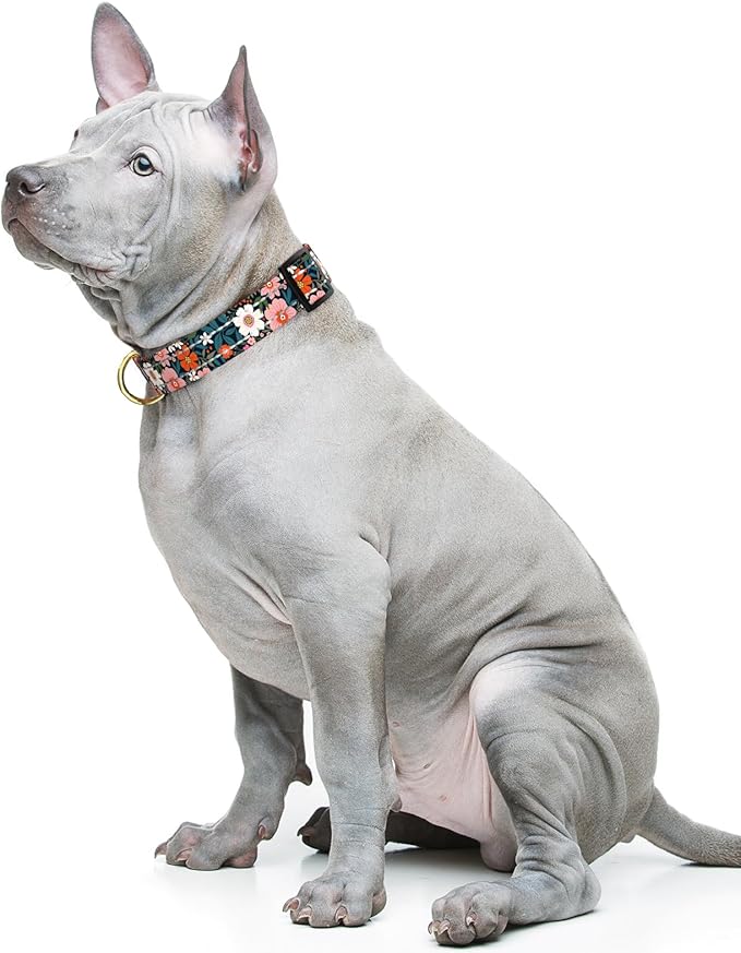 Reflective Dog Collar for Medium Dogs, Cute Flower Theme Adjustable Heavy-Duty Nylon Puppy Collar for Boy and Girl Female, Soft Pet Accessories with Quick Release Buckle, Elegant Floral