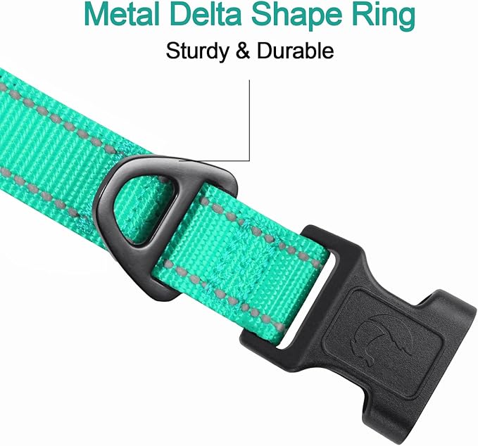 Joytale Reflective Dog Collar, Soft Neoprene Padded, Metal D-Ring, Nylon Pet Collar Adjustable for Puppy and Small Dogs, Teal, XS