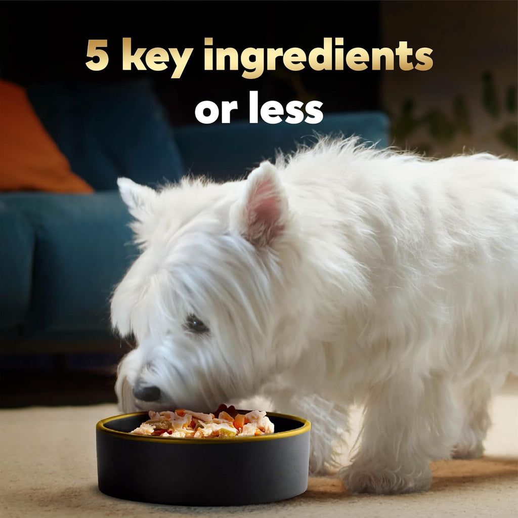 Cesar Simply Crafted Dog Food Topper, Chicken Pack, 1.3 oz, 8 Count, 2-Pack | Real chicken #1 ingredient, 5 key ingredients or less, slow-cooked, mix with food or serve alone, mess-free single-serve tubs