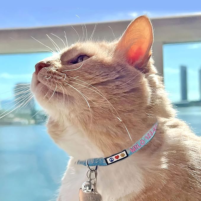Pawtitas Personalized Pink Reflective Cat Collar – Adjustable Custom Collar with Safety Buckle, Removable Bell, and Engraved Name & Phone Number for Kittens and Adult Cats